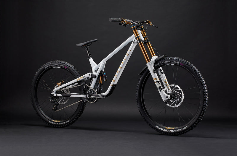 Load image into Gallery viewer, Commencal Supreme DH V5 Signature LTD Pure White Downhill Bike