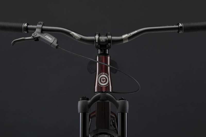 Commencal ABSOLUT Burgundy 2025 Bike Detail Image 1