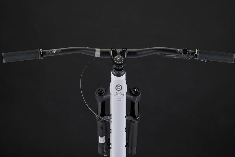 Load image into Gallery viewer, Commencal ABSOLUT Pure White 2025 Dirt Jump Bike