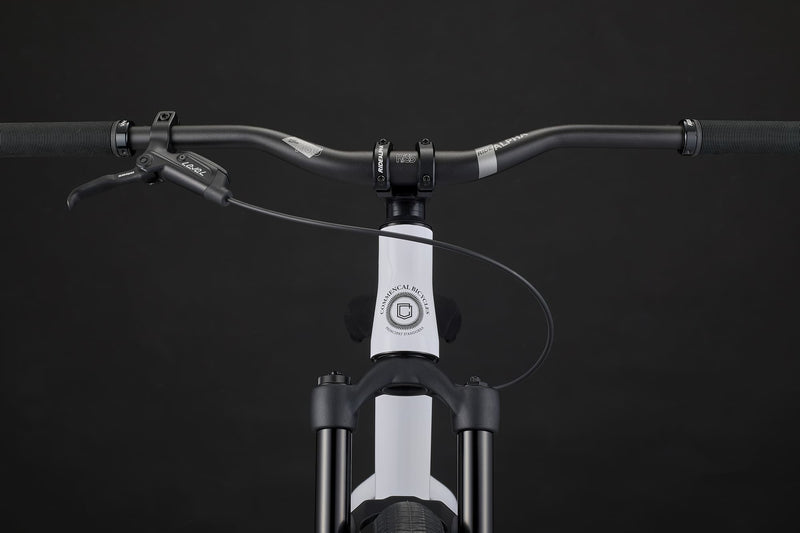 Commencal ABSOLUT Pure White 2025 Dirt Jump Bike Detail Image 1