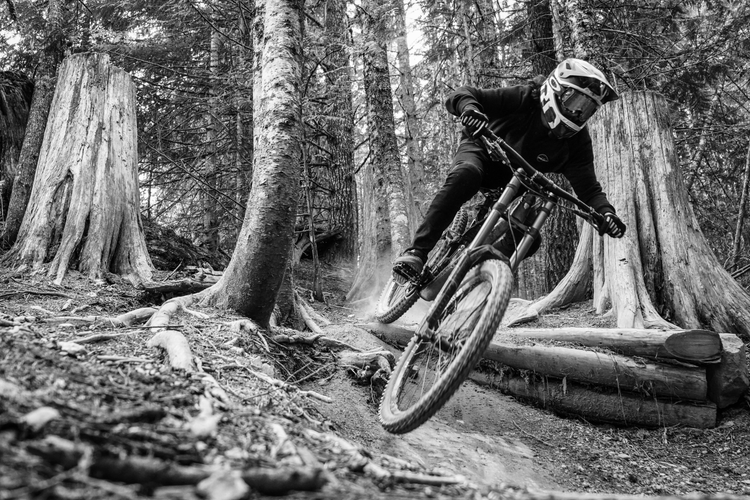 Ambassador Programme