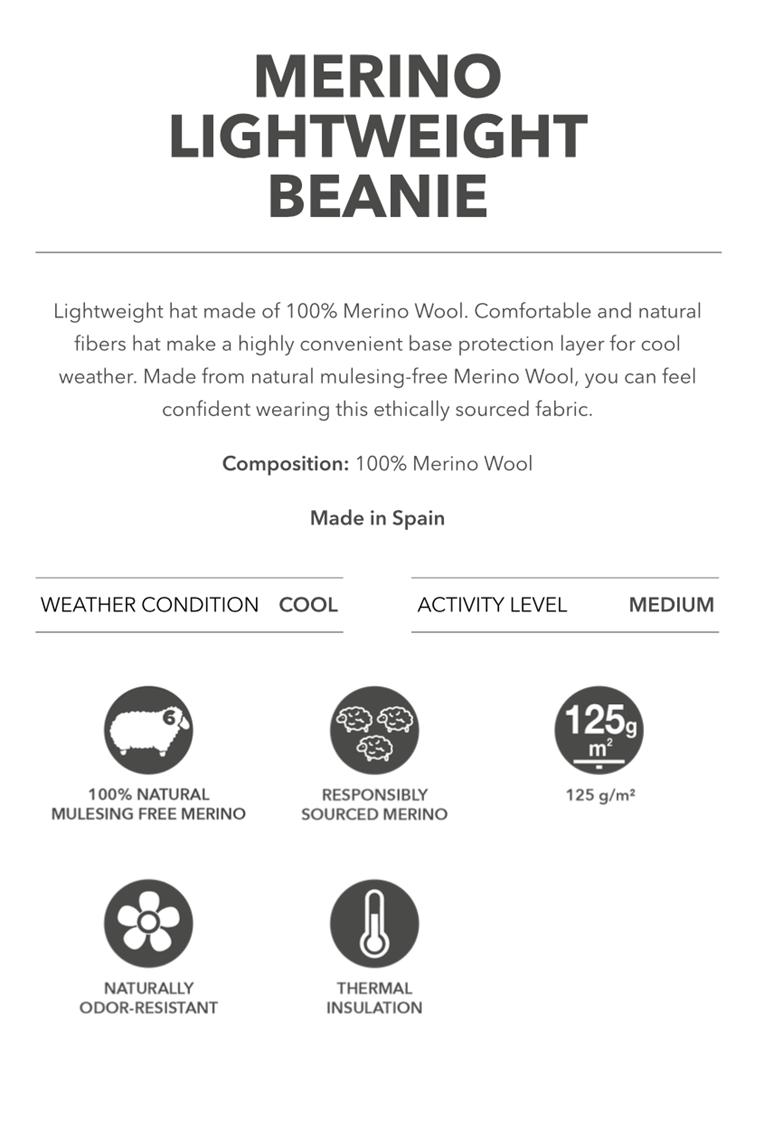 Load image into Gallery viewer, Merino LW Beanie Info
