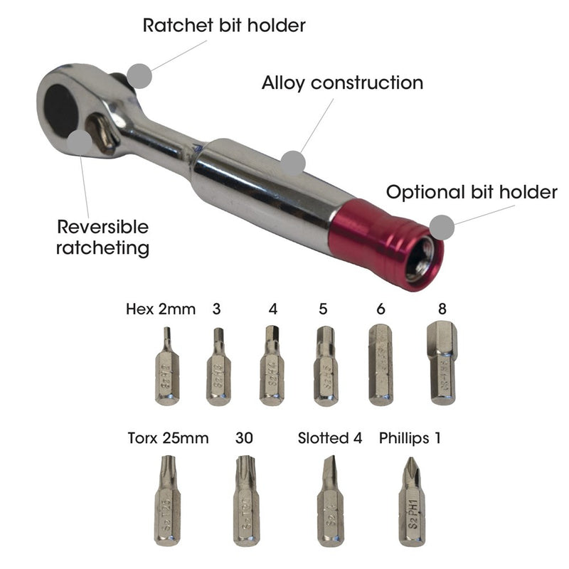 Load image into Gallery viewer, Azur Alloy Ratchet 10 Bit Tool Set
