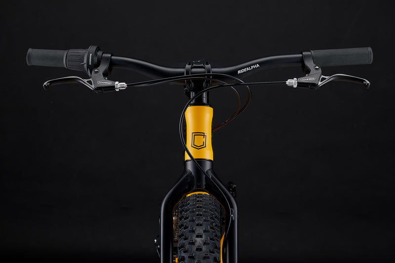 Load image into Gallery viewer, Commencal Ramones 20 Revoshift Ohlins Yellow Kids Bike
