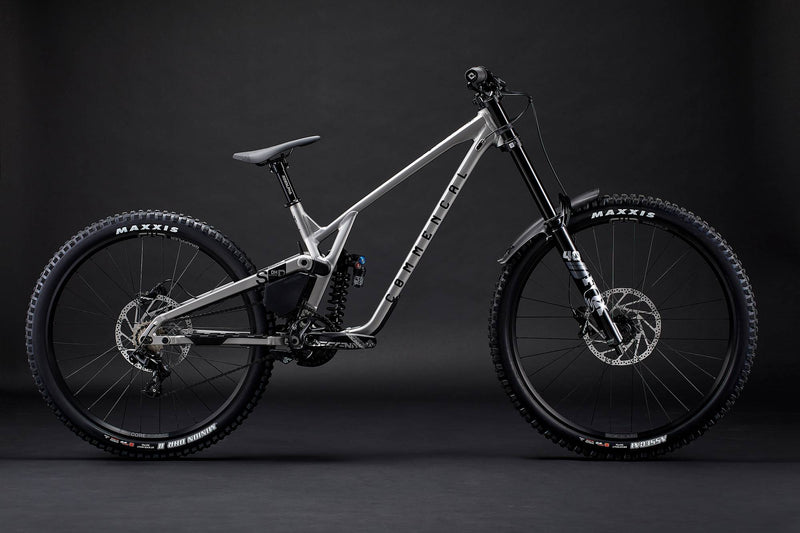 Load image into Gallery viewer, Commencal Supreme DH V5 Essential Silver Downhill Bike
