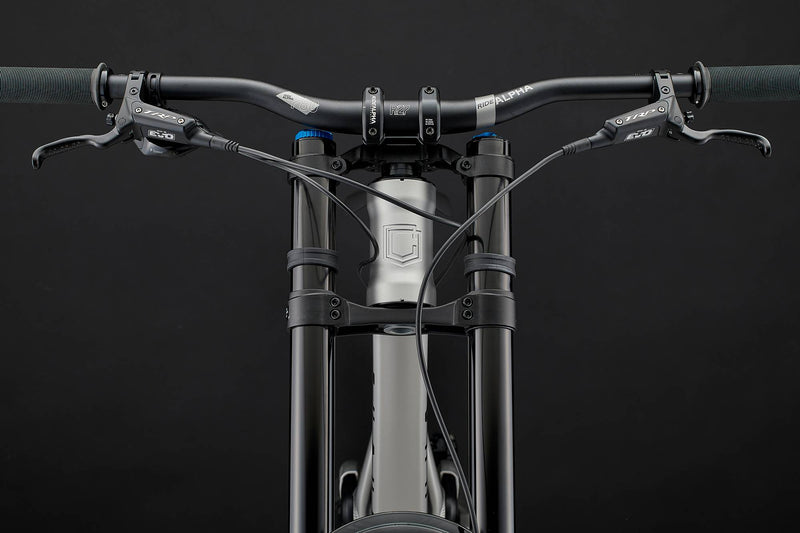 Load image into Gallery viewer, Commencal Supreme DH V5 Essential Silver Downhill Bike
