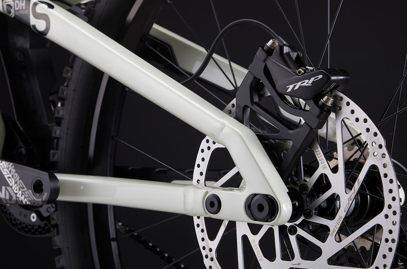 Load image into Gallery viewer, Commencal Supreme DH V5 Signature Clear Silver Downhill Bike
