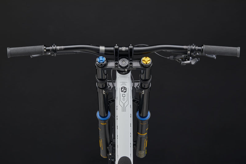 Load image into Gallery viewer, Commencal FRS ÖHLINS Edition 2025 Downhill Mountain Bike
