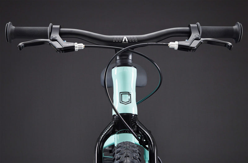 Load image into Gallery viewer, Commencal Ramones 14 Green 2026 Kids Bike
