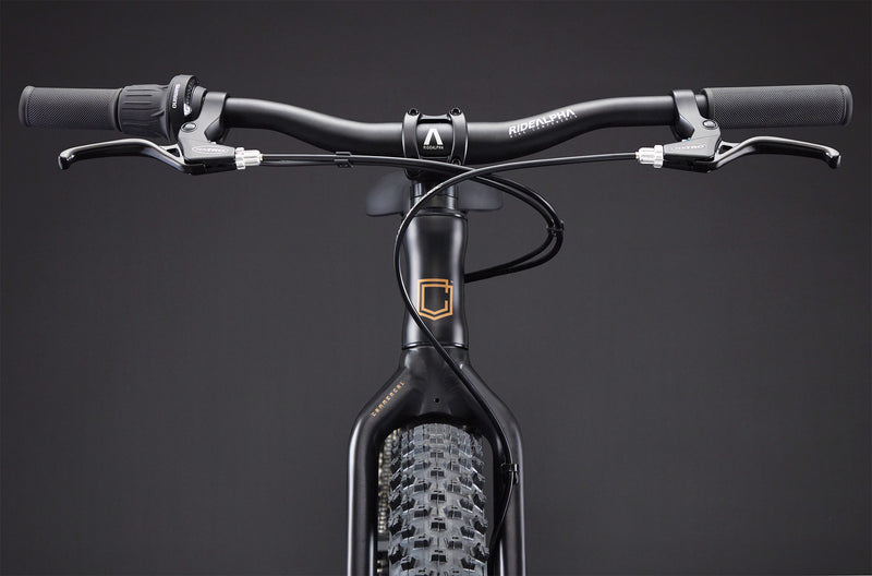 Load image into Gallery viewer, Commencal Ramones 20 Black 2026 Kids Bike
