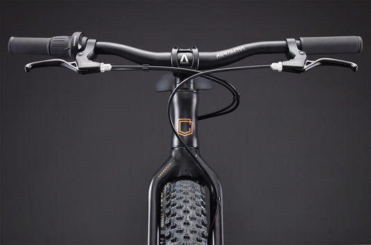 Commencal Ramones 20 Black 2026 Kids Bike