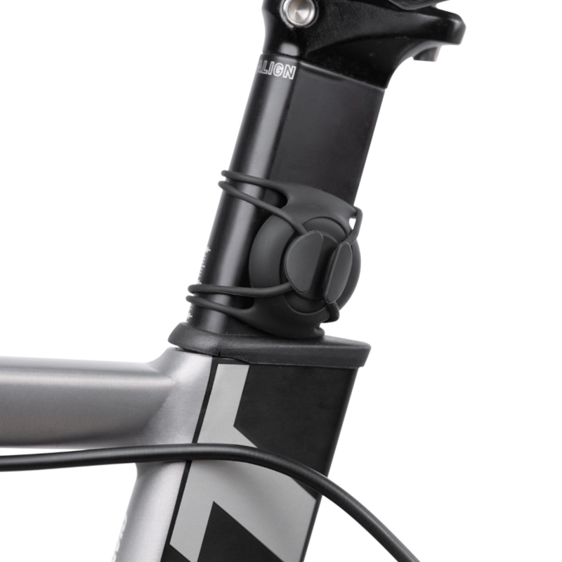 Load image into Gallery viewer, Bone Collection Bike Strap Tag Mount - Bike Strap 6

