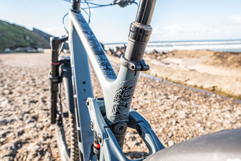 Load image into Gallery viewer, Mucky Nutz Frame Skinz Viking Bike Protection
