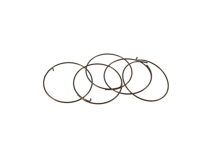 Fulcrum 5-R1-015 Pawl Spring