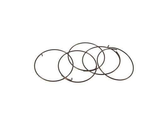 Fulcrum 5-R1-015 Pawl Spring