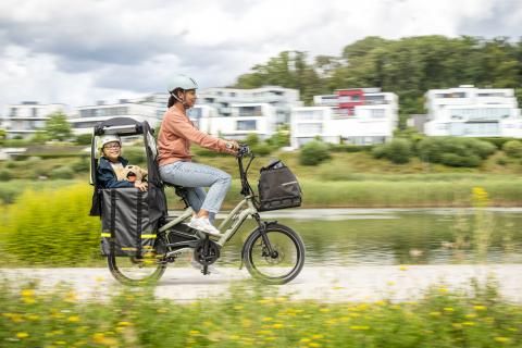 Tern Storm Shield Mini Canopy
