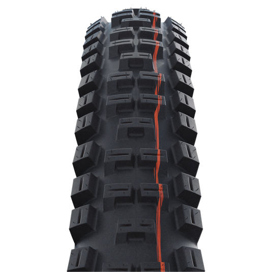 Schwalbe Big Betty Downhill Tyre