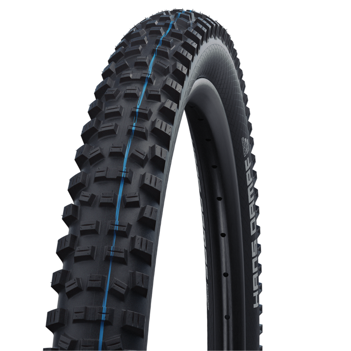 Schwalbe Hans Dampf Tyre