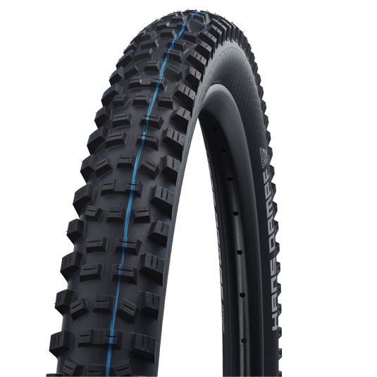 Schwalbe Hans Dampf Tyre