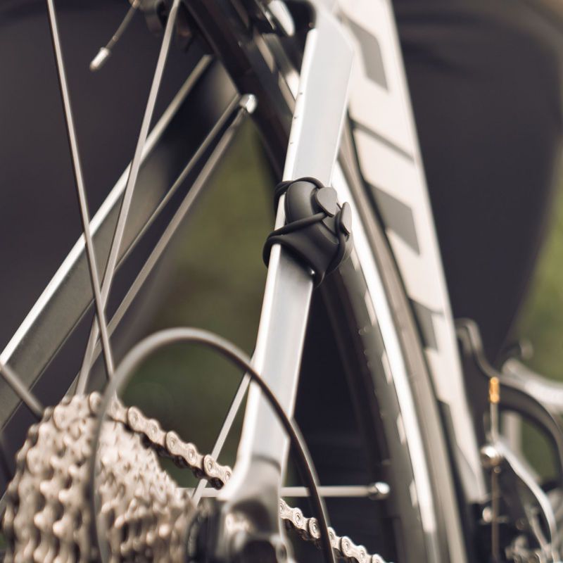 Load image into Gallery viewer, Bone Collection Bike Strap Tag Mount - Bike Strap 8
