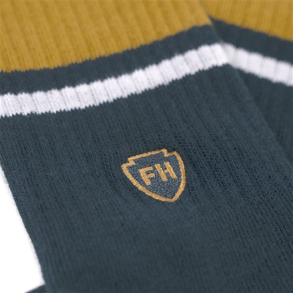 Load image into Gallery viewer, Fasthouse Venice Crew Socks - Navy/Gold
